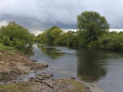 Auenlandschaft