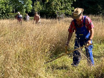 Menschen sensen eine Wiese