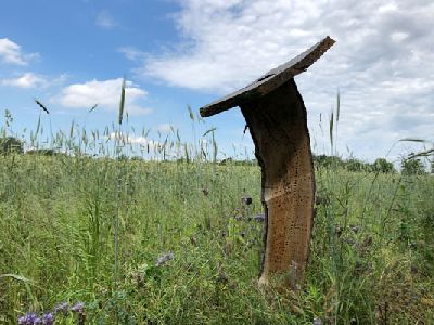 Wildbienennisthilfe in der freien Landschaft